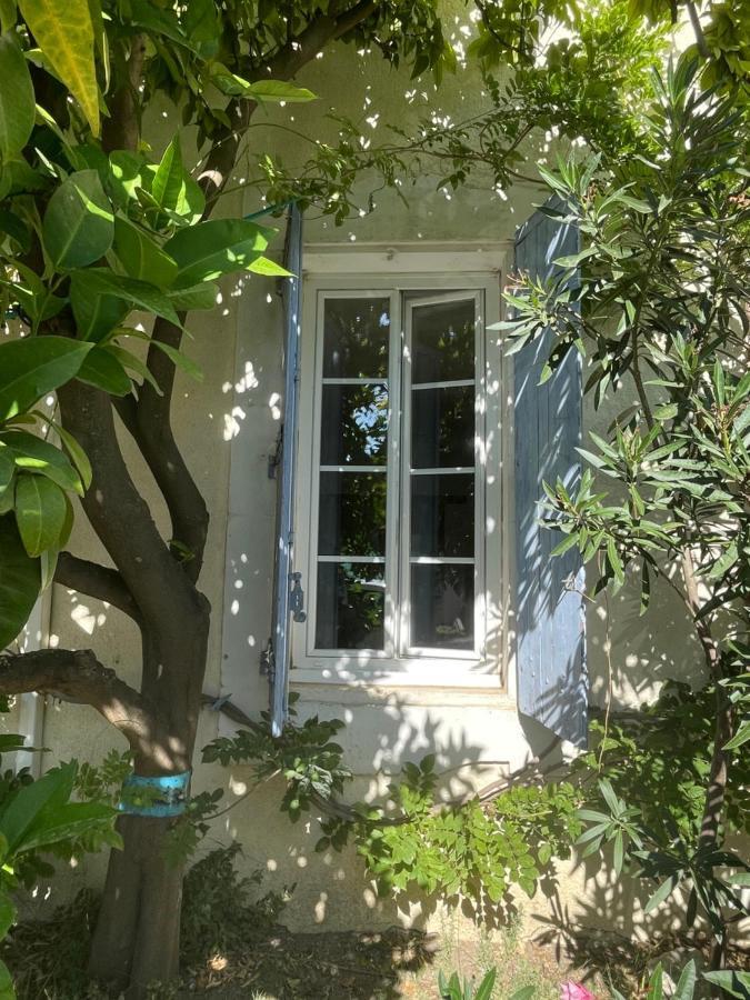 Du Cote De Chez Nous Apartment Cuxac-d'Aude Bagian luar foto